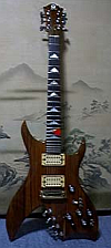 BC Rich Bich